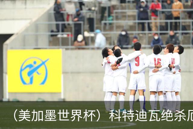 （美加墨世界杯）科特迪瓦绝杀厄瓜多尔 瑞典5:1大胜突尼斯